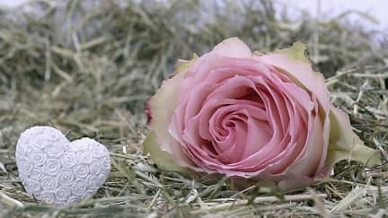 niyetim sadece evlilik